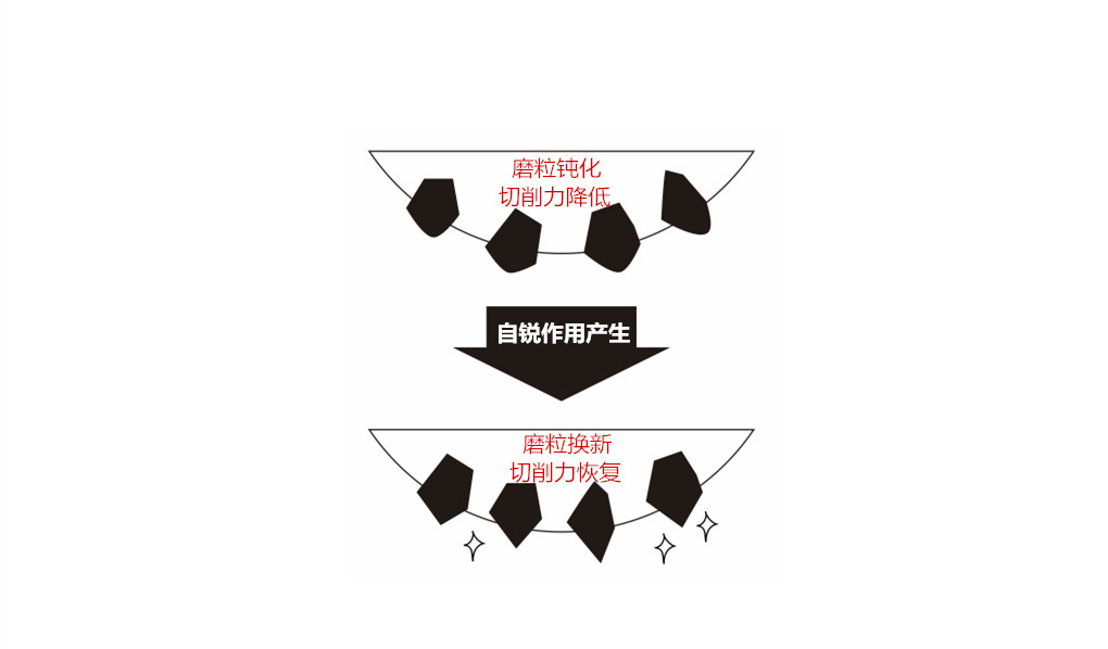 20181129015304860_副本.jpg