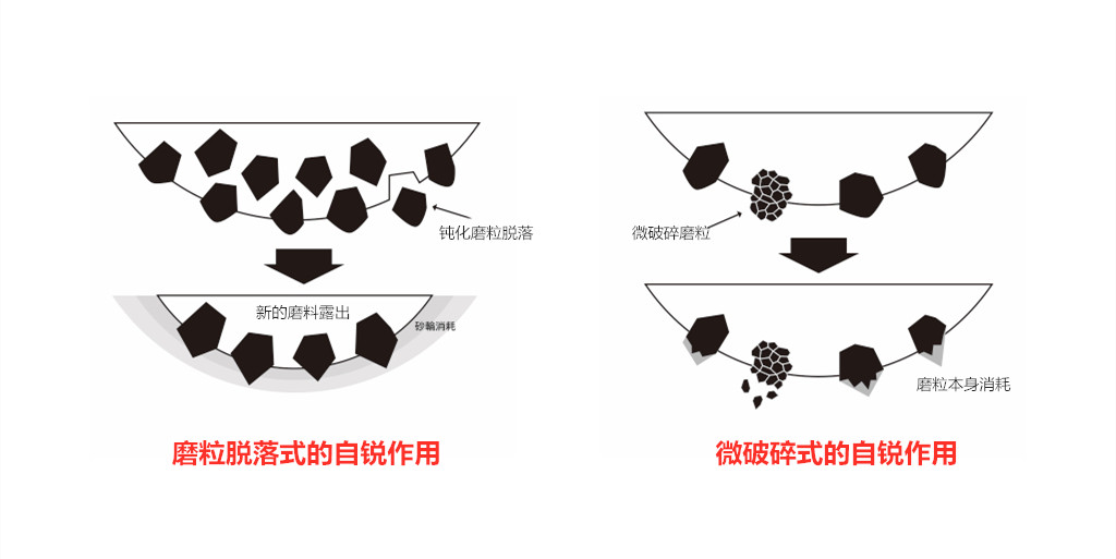 20181129015304563_副本.jpg