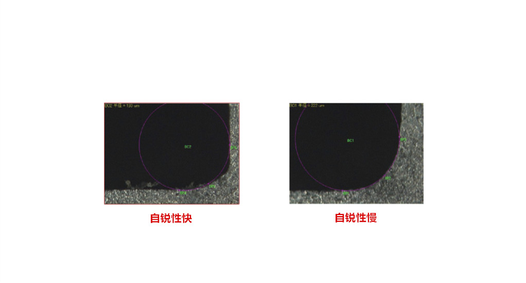 20181129015303160_副本.jpg